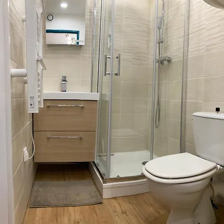 Les Amethystes 1 Lägenhet Le Mont-Dore